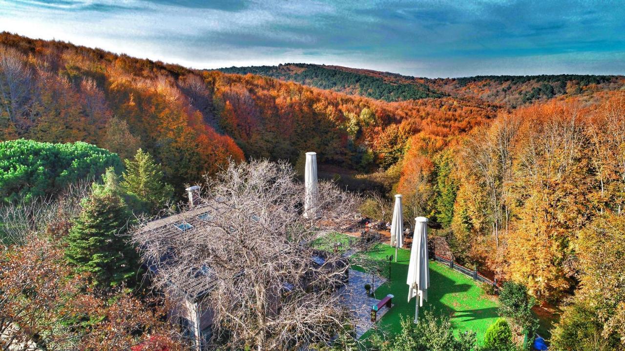 Villa Polonez イスタンブール エクステリア 写真